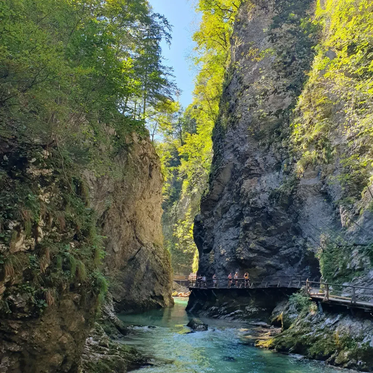 SI-studiereis-Slovenië-Vintgar Gorge 3.webp