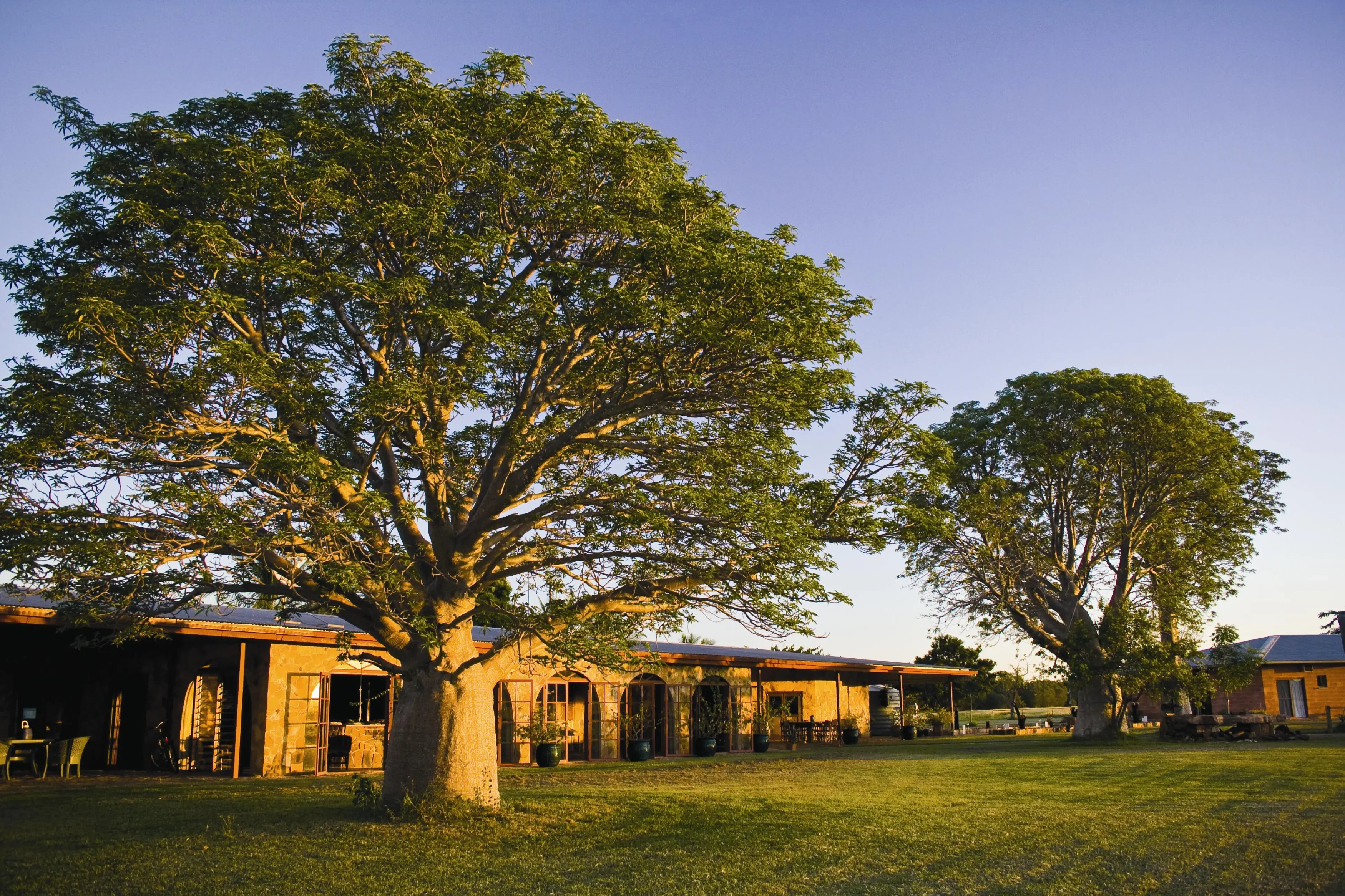 AU - Bullo River Station - Homestead.webp