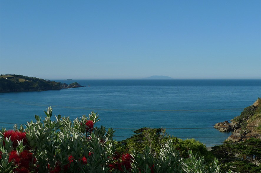 NZ - The Boatshed - View.jpg