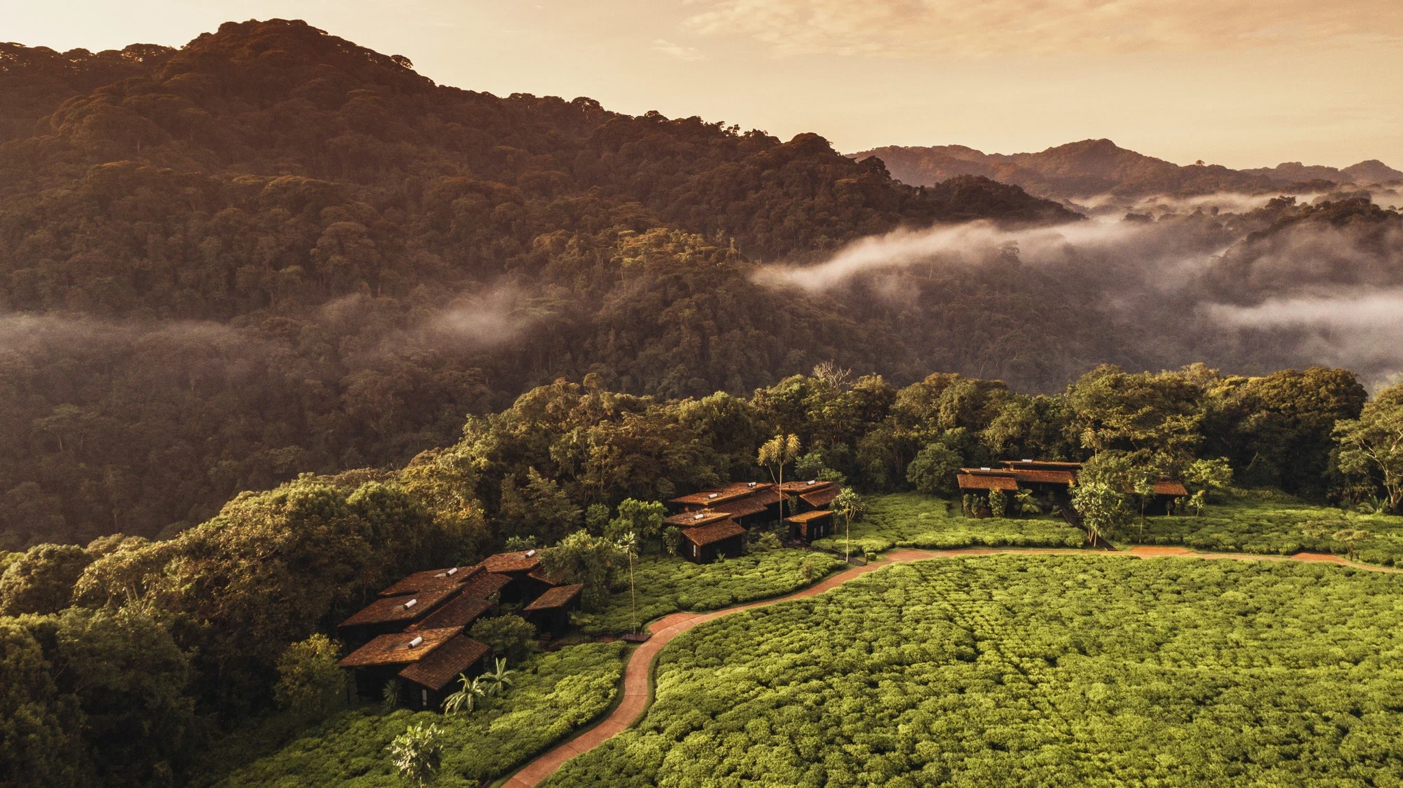 RW-One&Only Nyungwe House-lodge from drone 2.webp