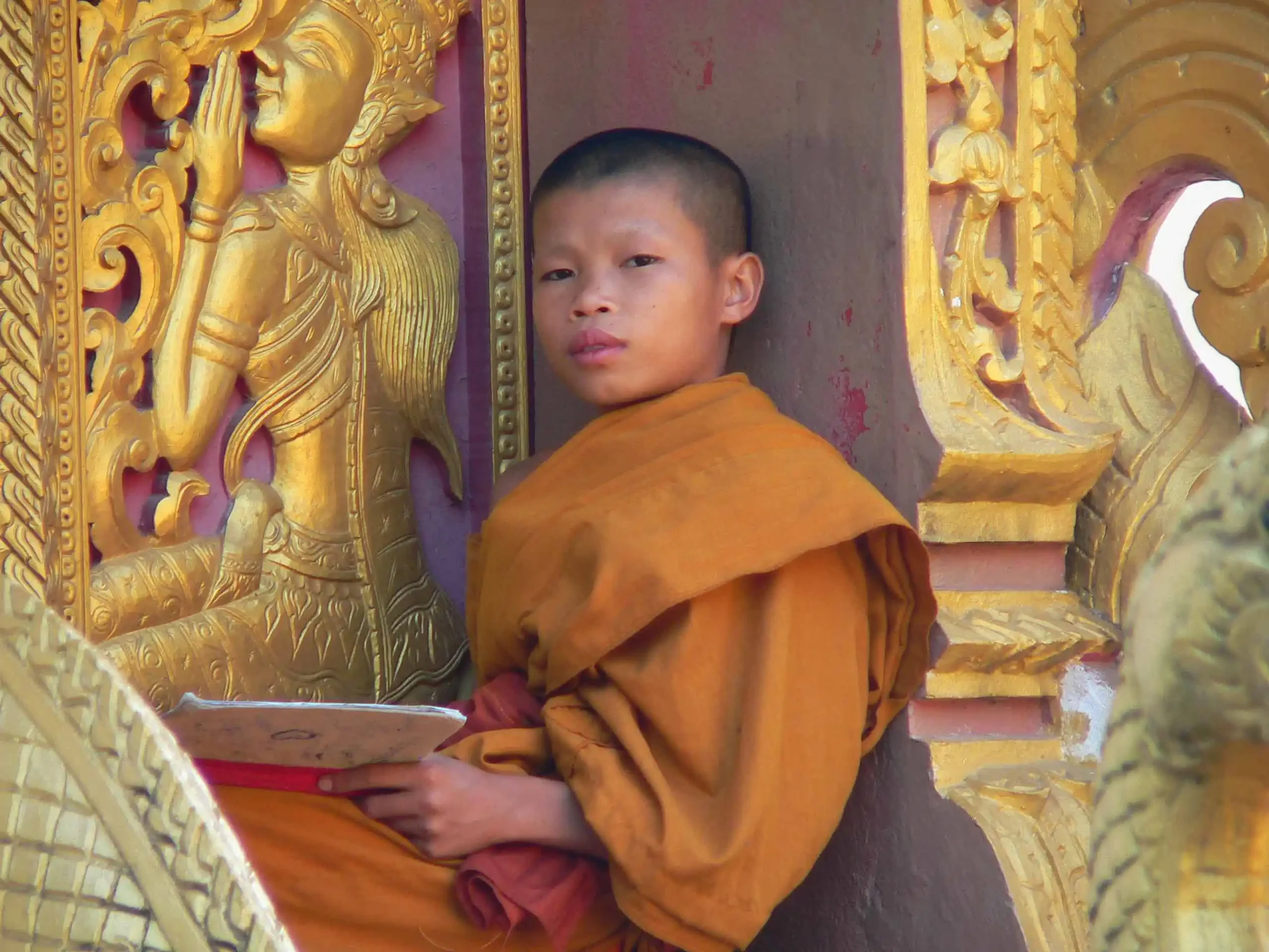 LA - Algemeen - Young Monk.webp