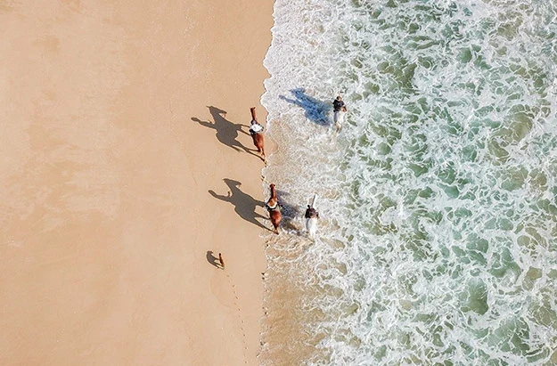 PT - General - Horseriding_aerial.webp