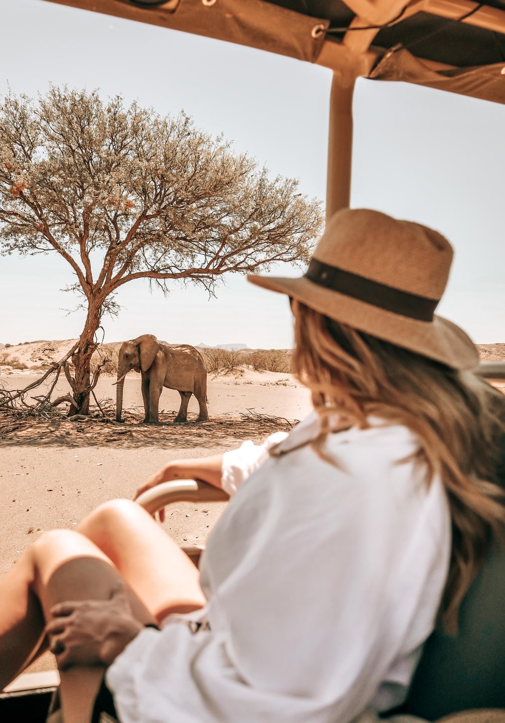 NA-Onduli Enclave-Desert Elephant activity (1).jpg
