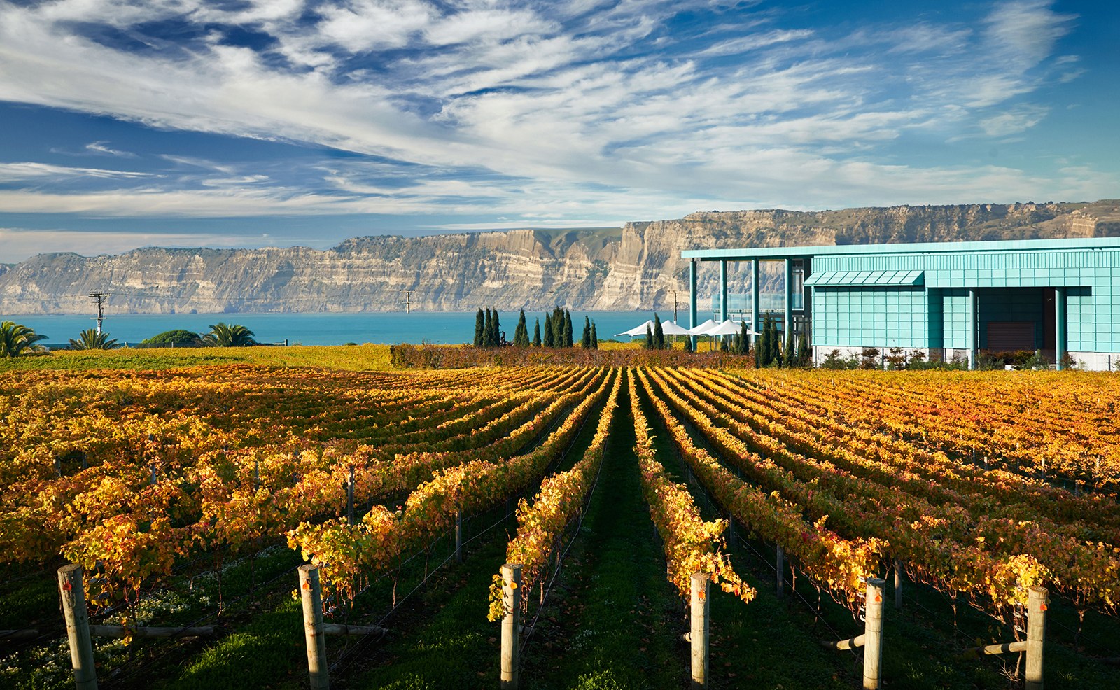 NZ - Hawke's Bay - Elephant Hill Winery Autumn.jpg