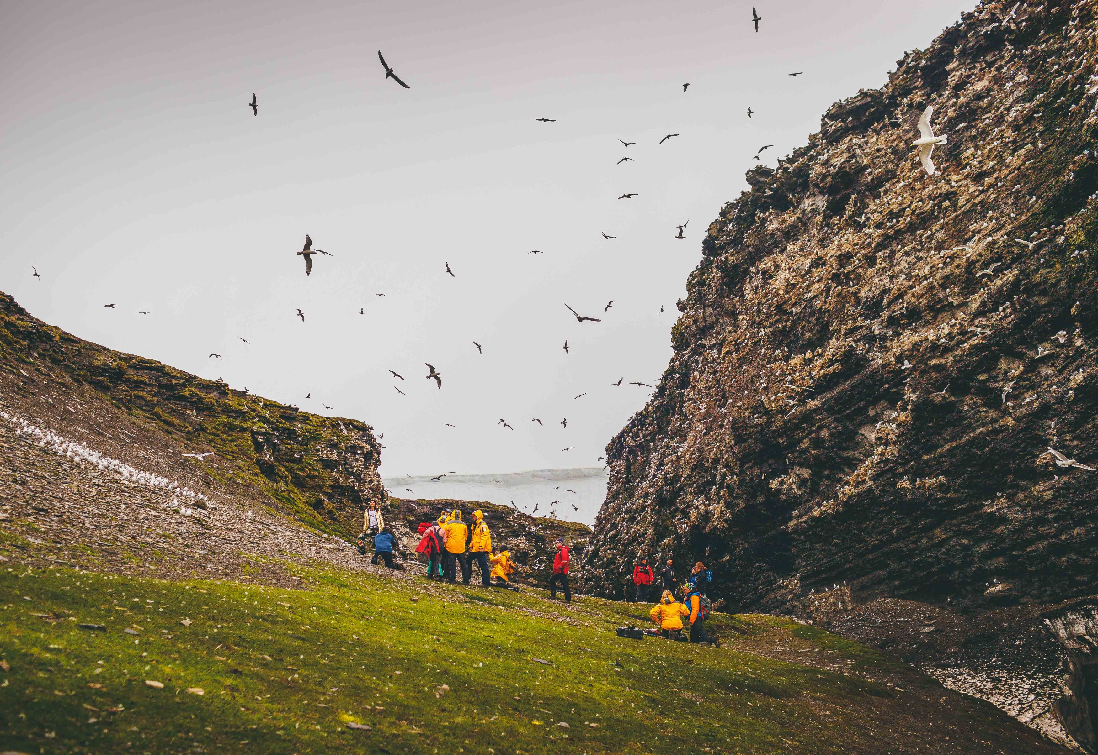 NO- Quark expeditions.Quark Expeditions_Intro to Spitsbergen_Arctic2018-124_Credit_DavidMerron.jpg
