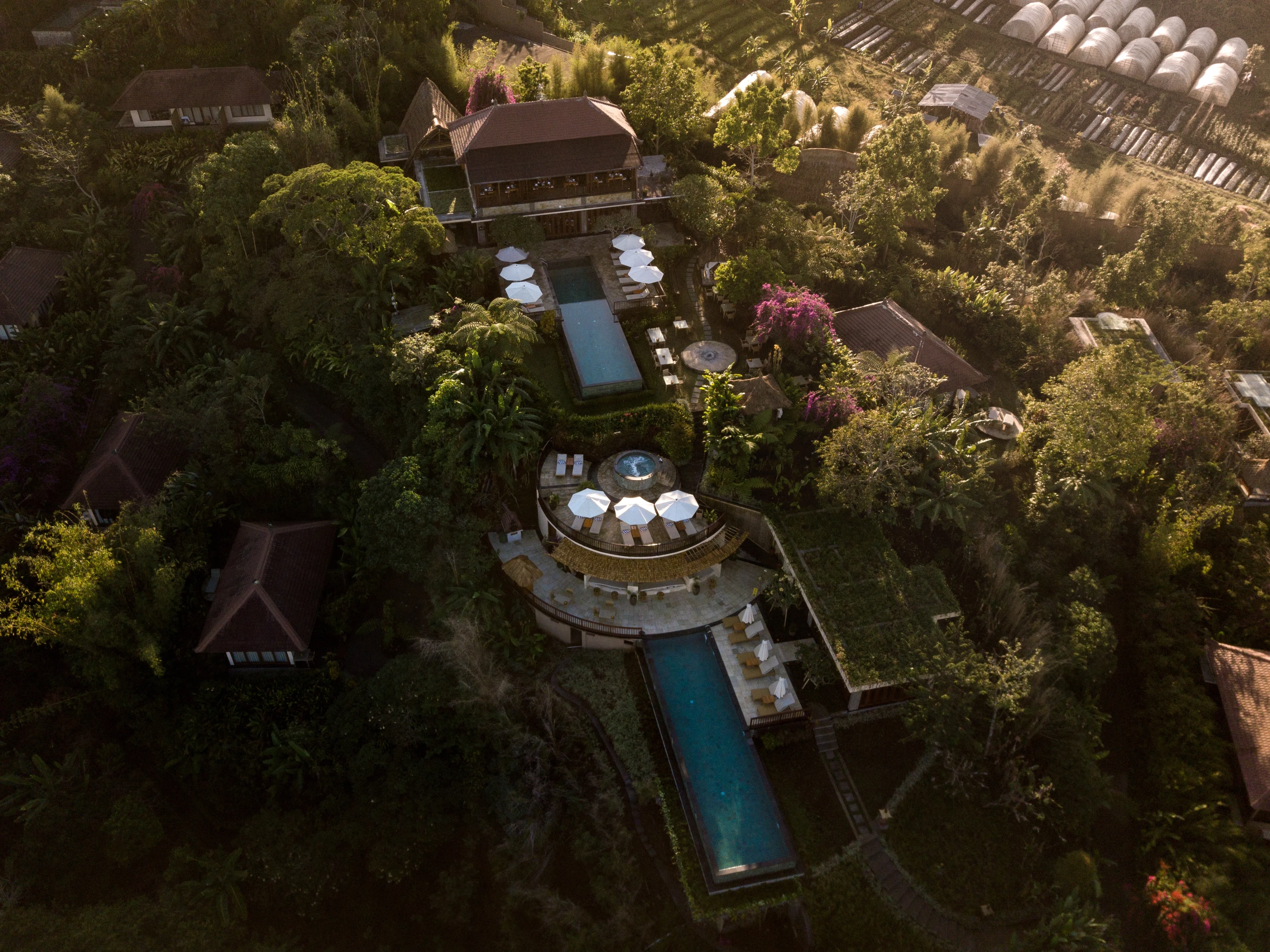 IN - Munduk Moding Plantation - Arial View Top (4).webp