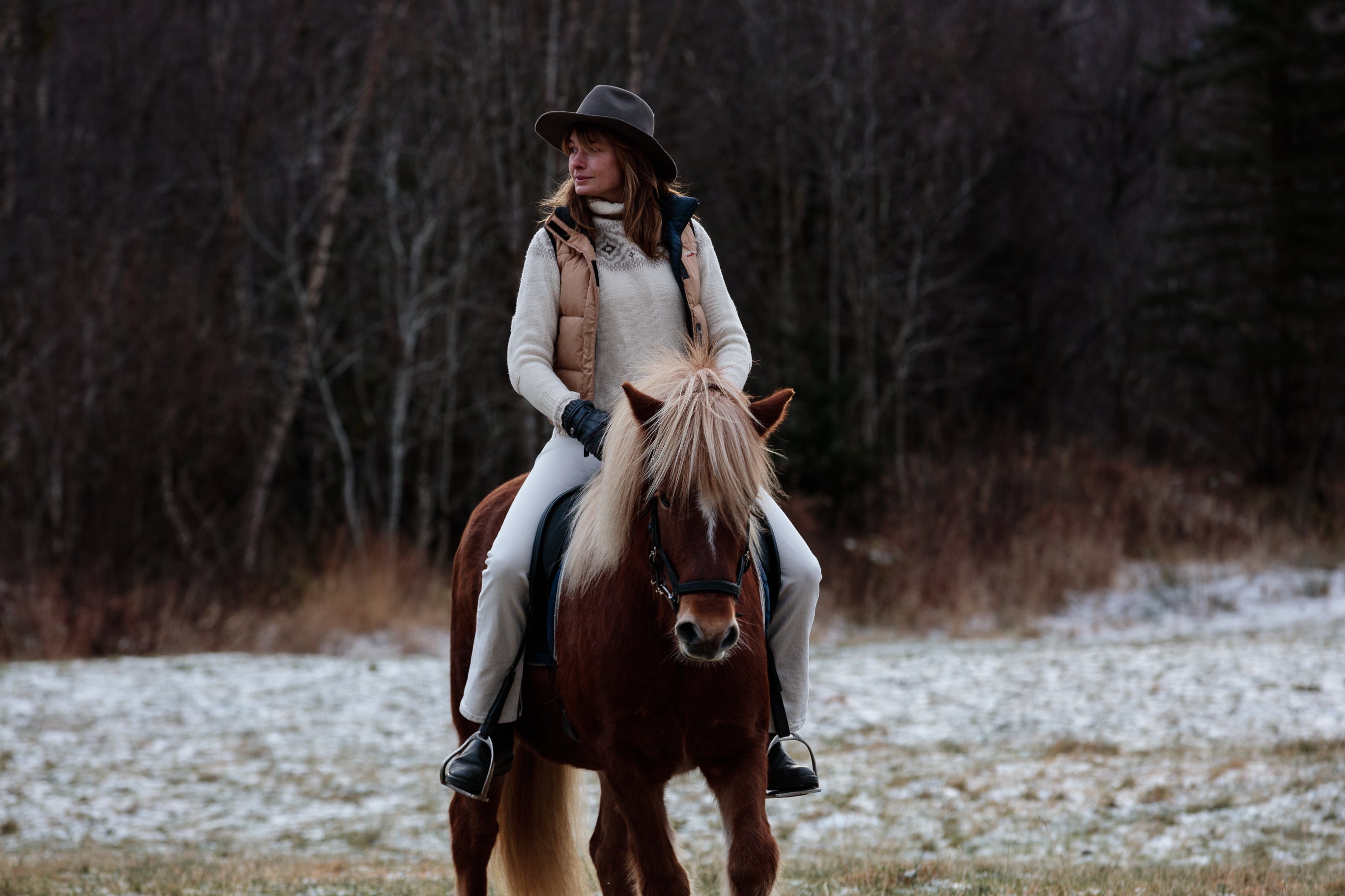 NO - Horse riding (2).jpg
