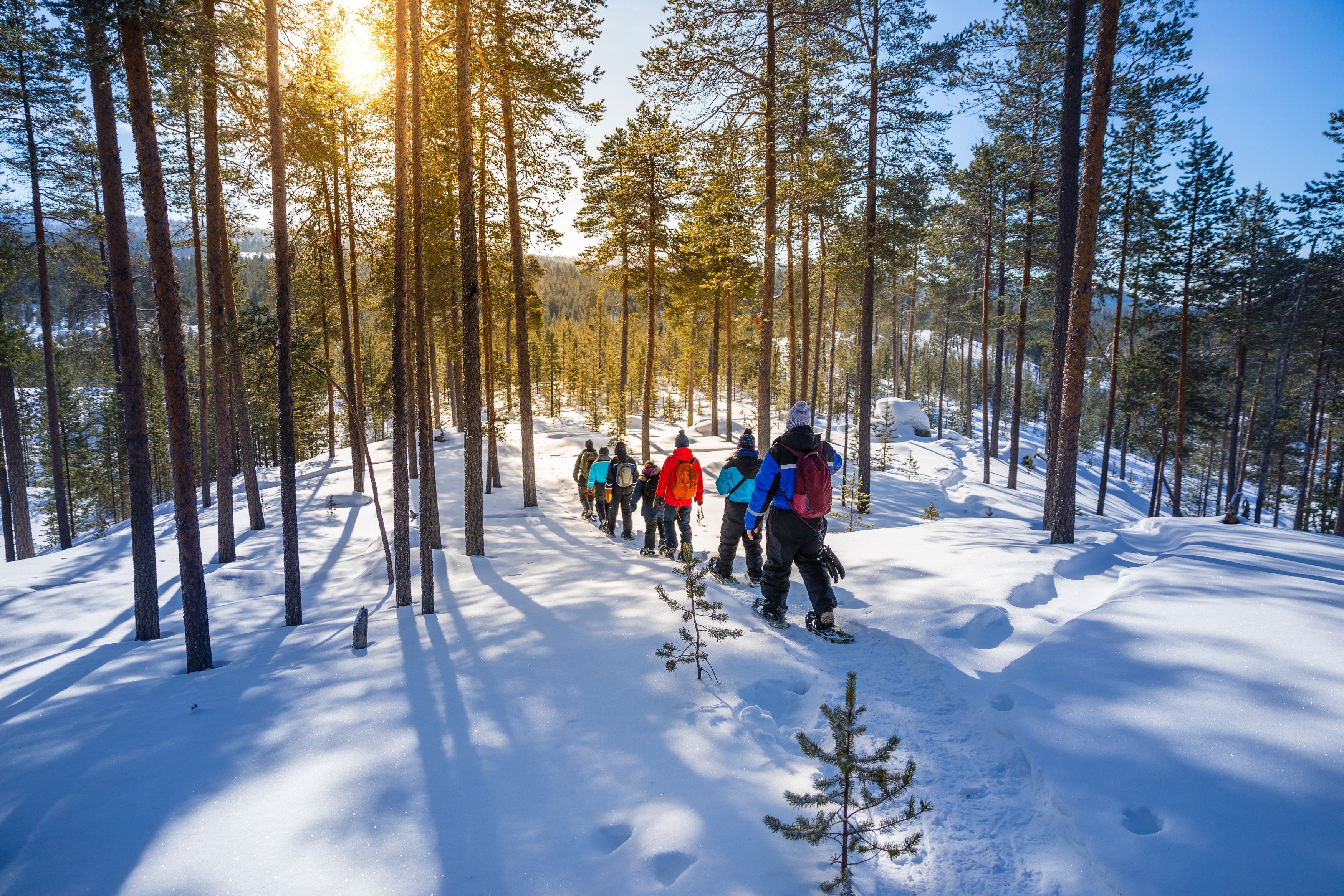 FI-Accommodatie-Nangu-Wilderness-Lodge-SnowShoeing.jpeg