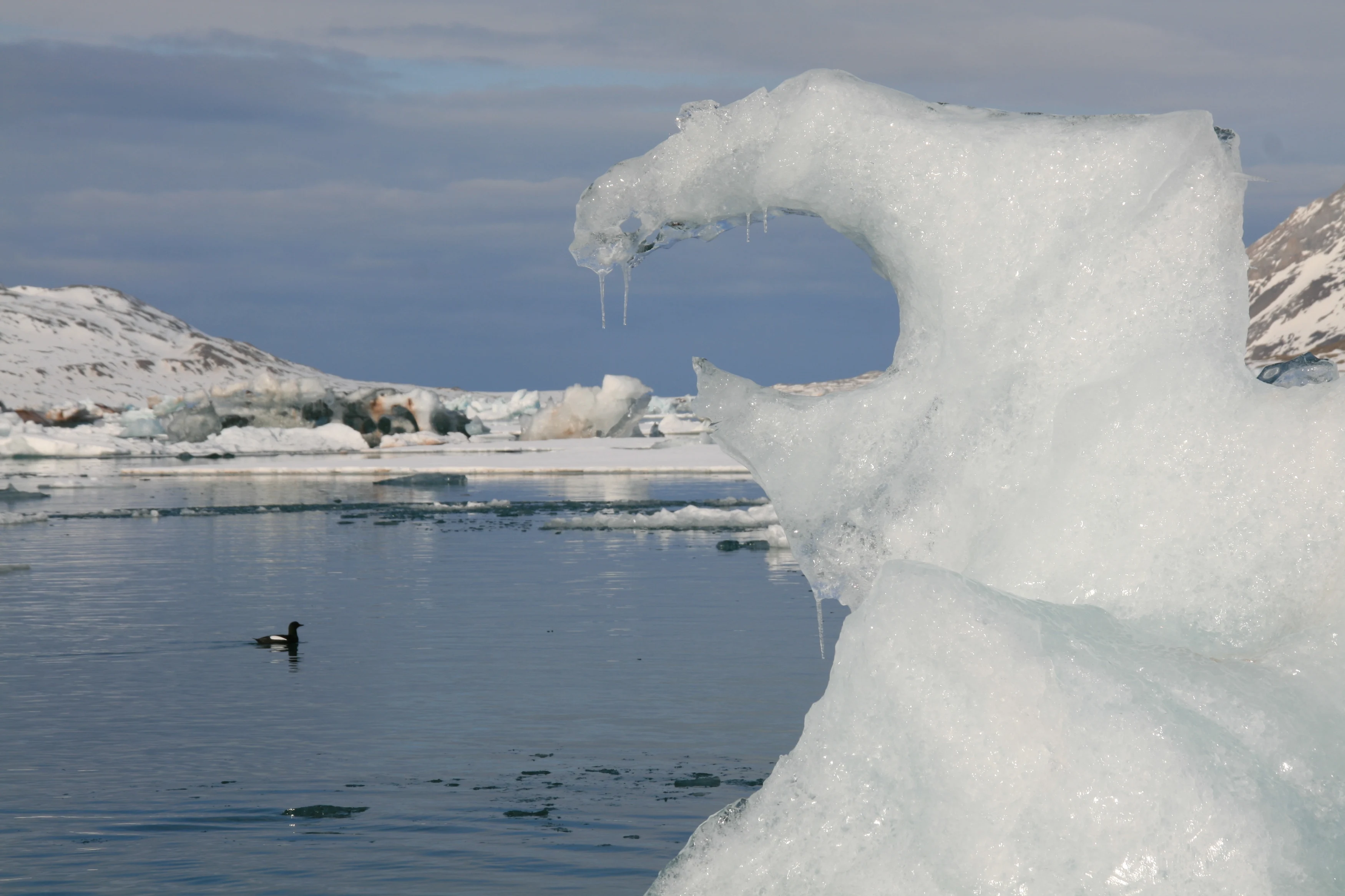 NO - Arctic - ijs sculptuur.webp