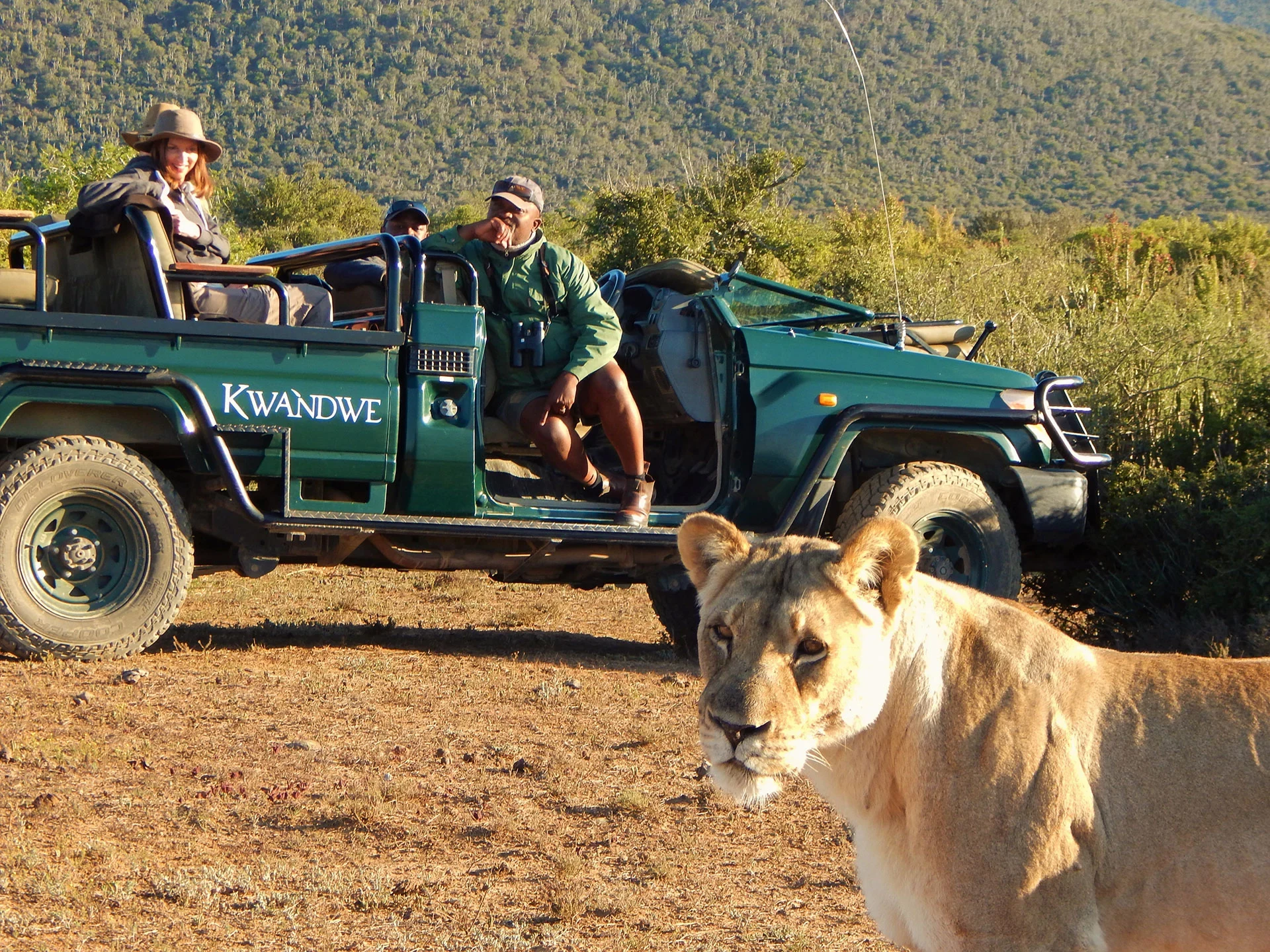 ZA-Kwandwe Ecca Lodge-Safari-04.webp