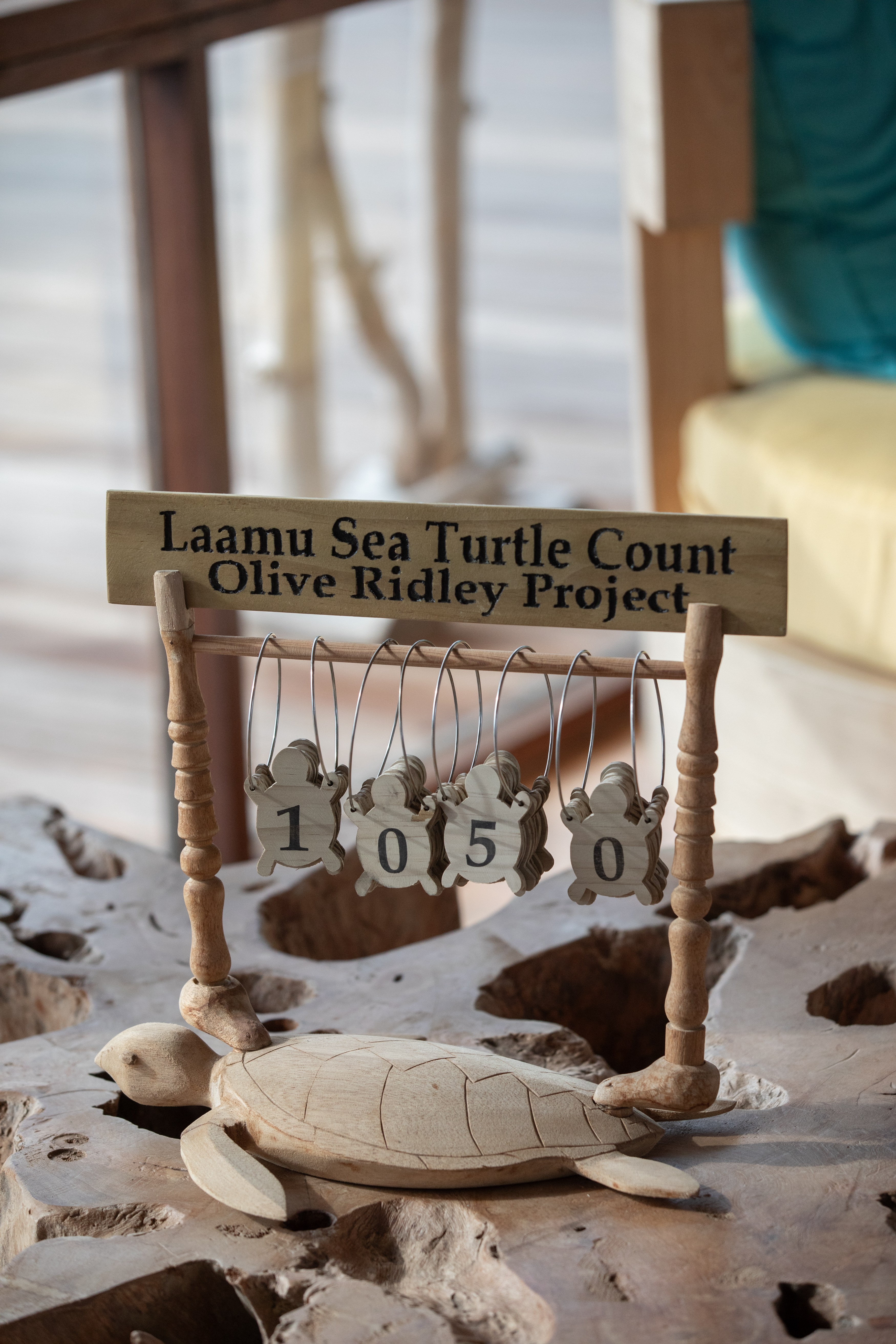 MV - Accommodatie - Six Senses - Laamu - Turtle count 1.jpg