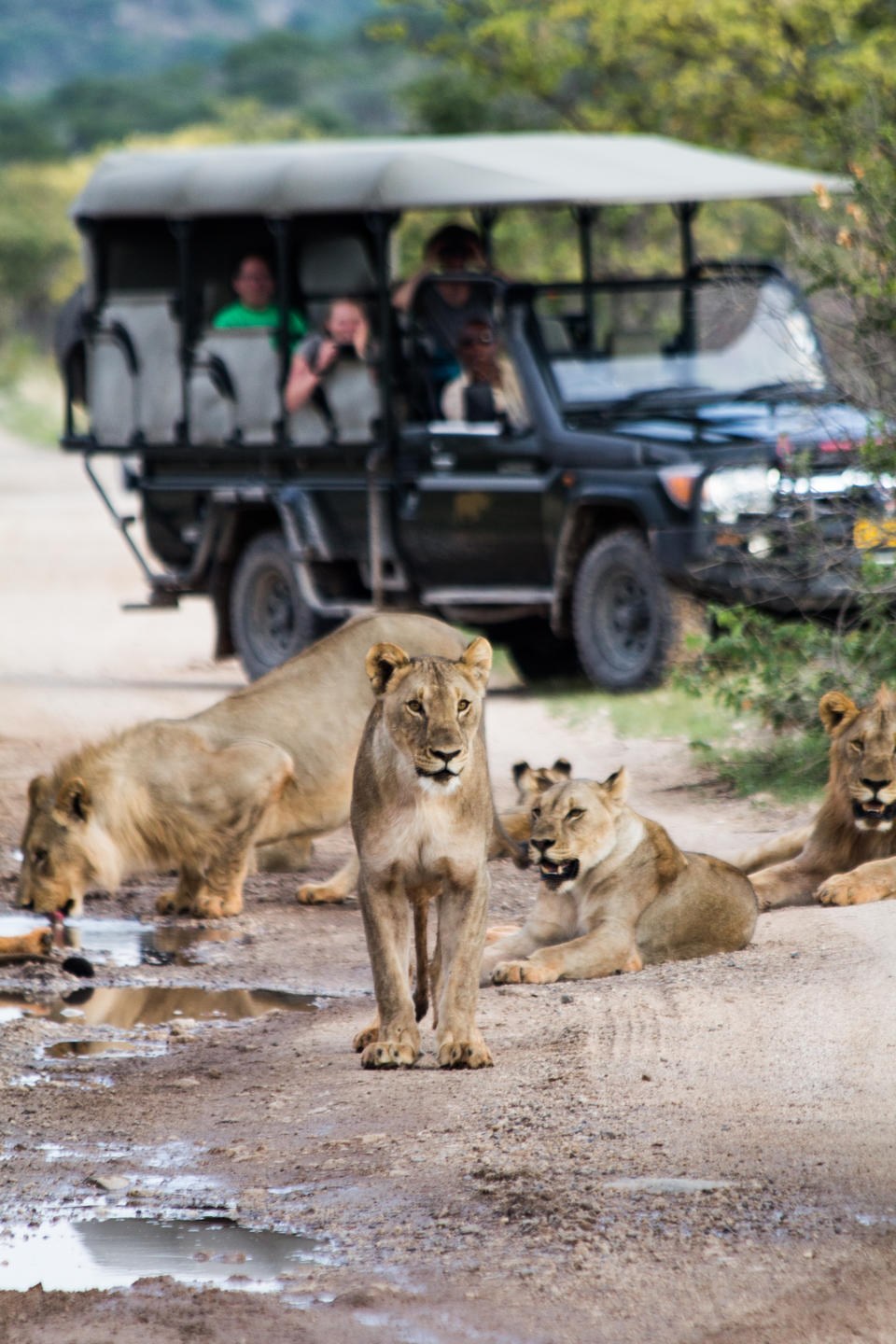 NA - Horizon by Ongava - Ongava Game Reserve .jpg