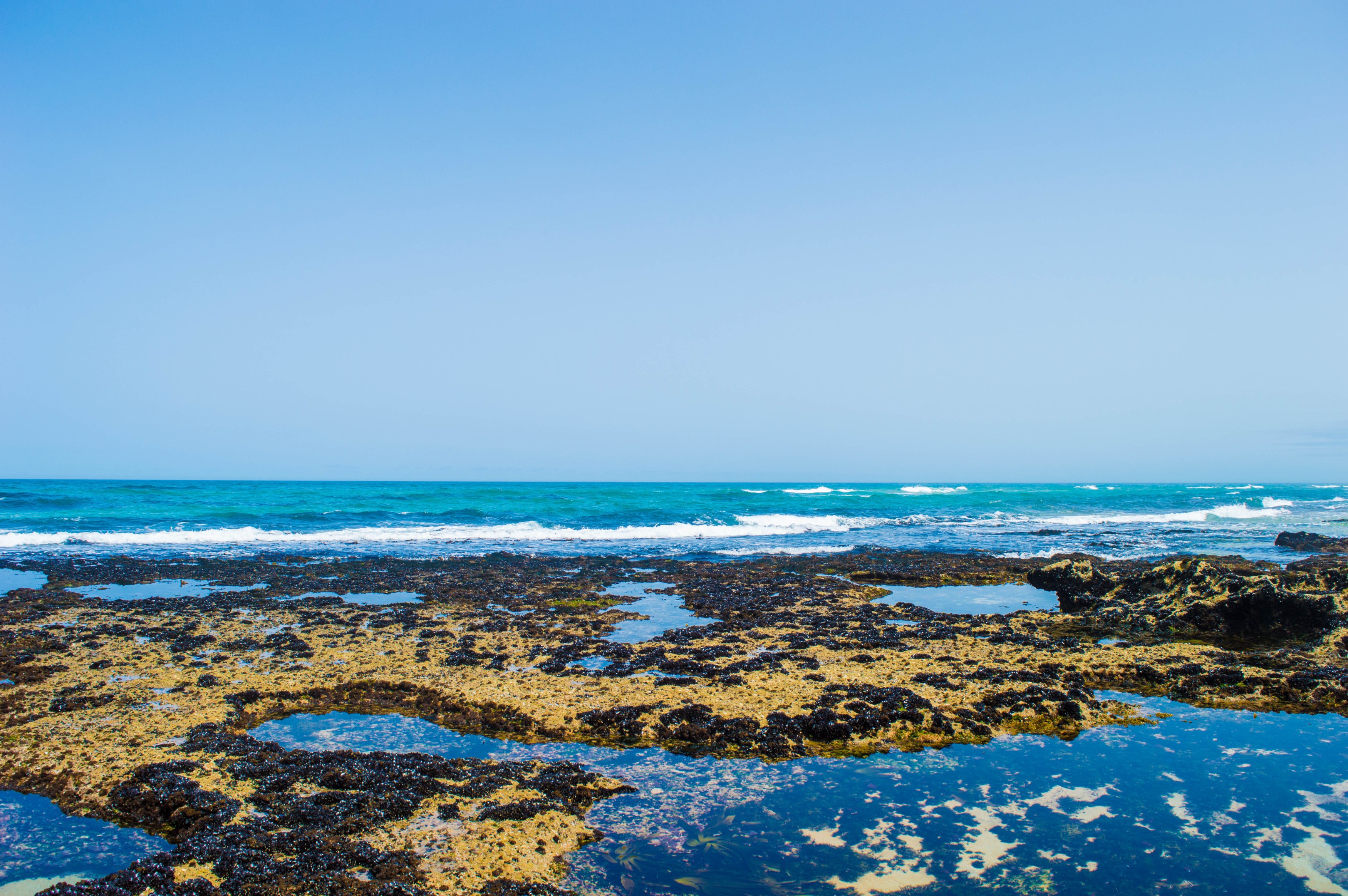 MA-Oualidia-pixabay.jpg