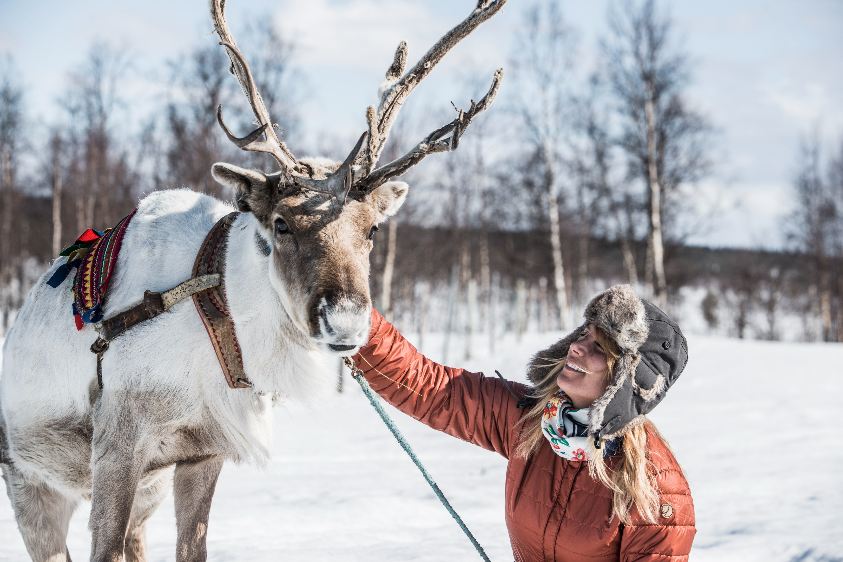 SE - Fjellborg reindeer.jpg