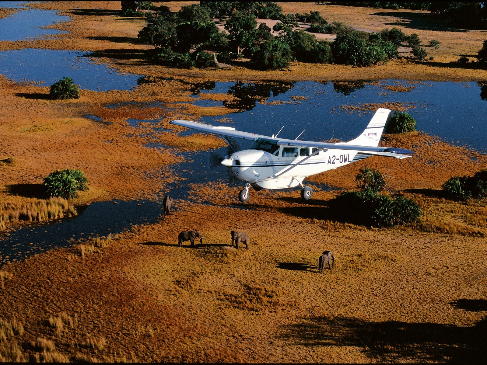 BW - Algemeen - Air Safari.jpg