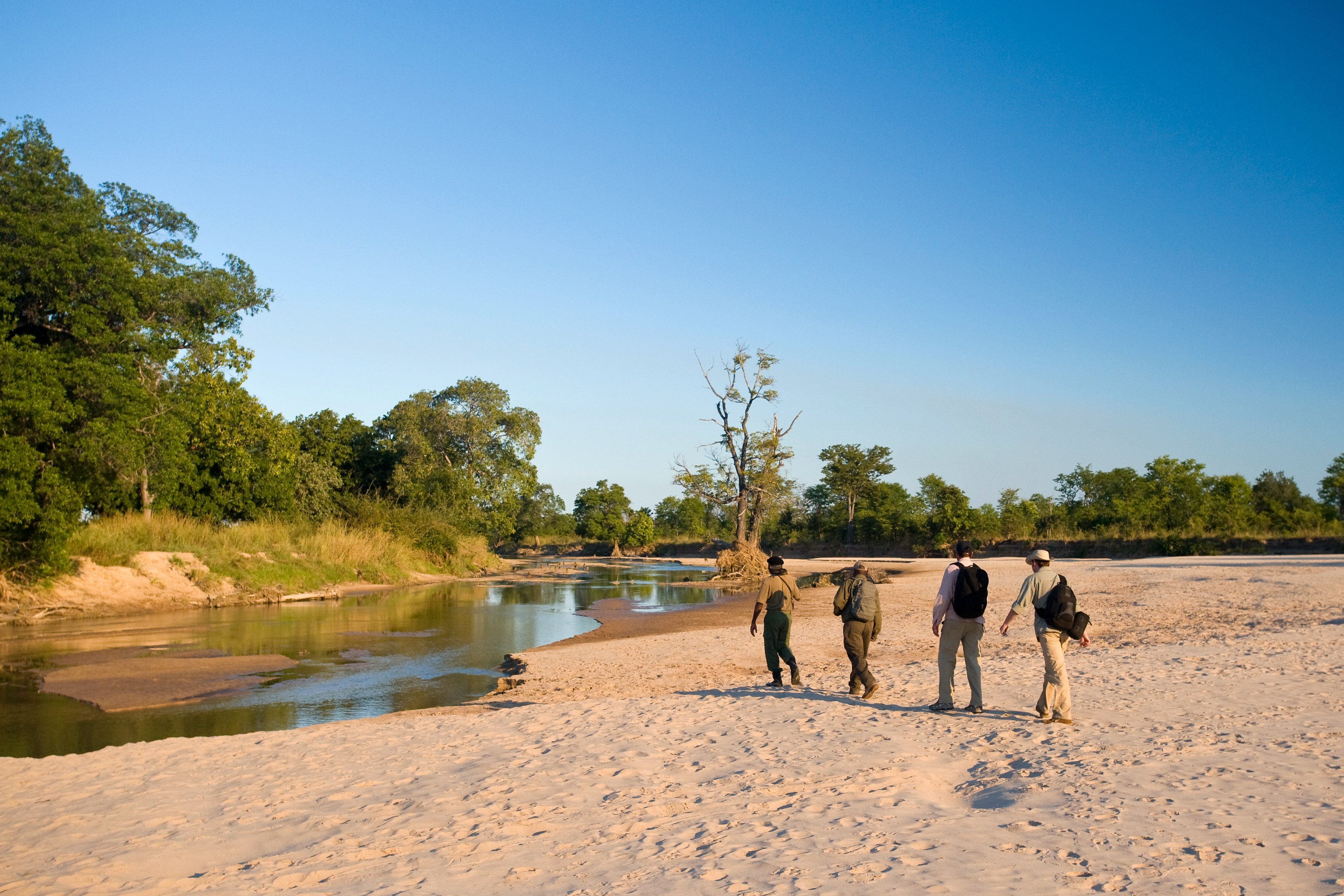 ZM - Nsolo Bush Camp - Walking-1.jpg