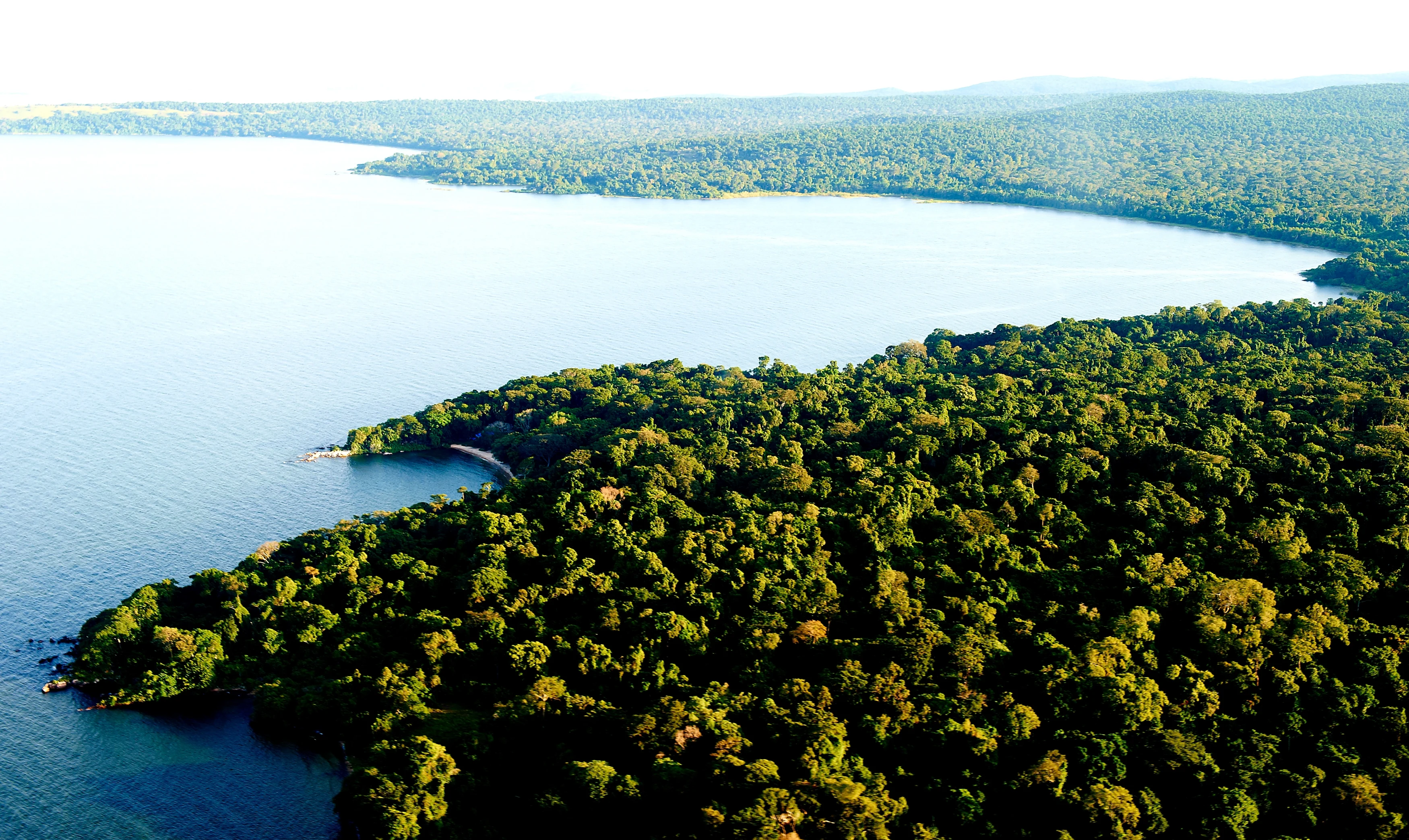 TZ-Rubondo Island-Landscapes.webp