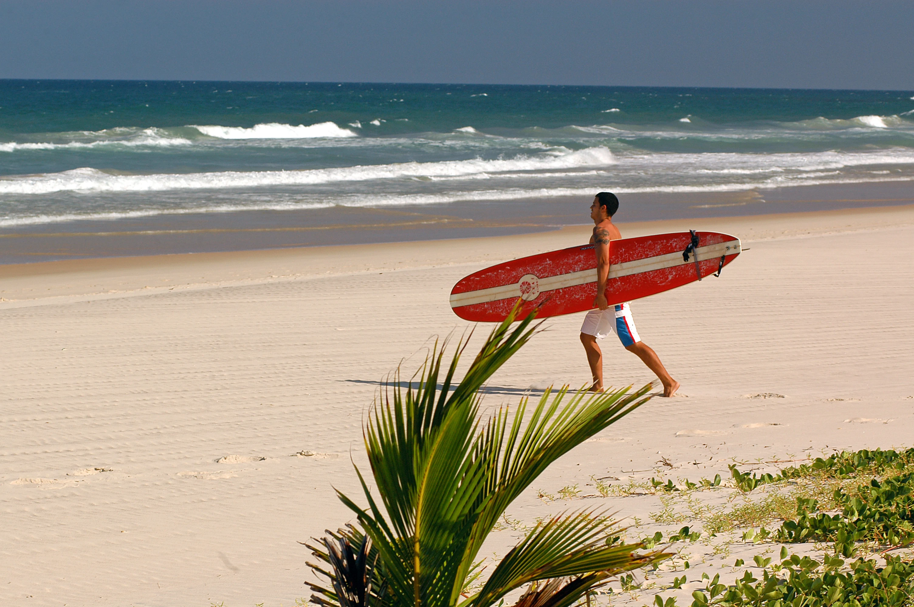 BR - Txai - surfing.webp