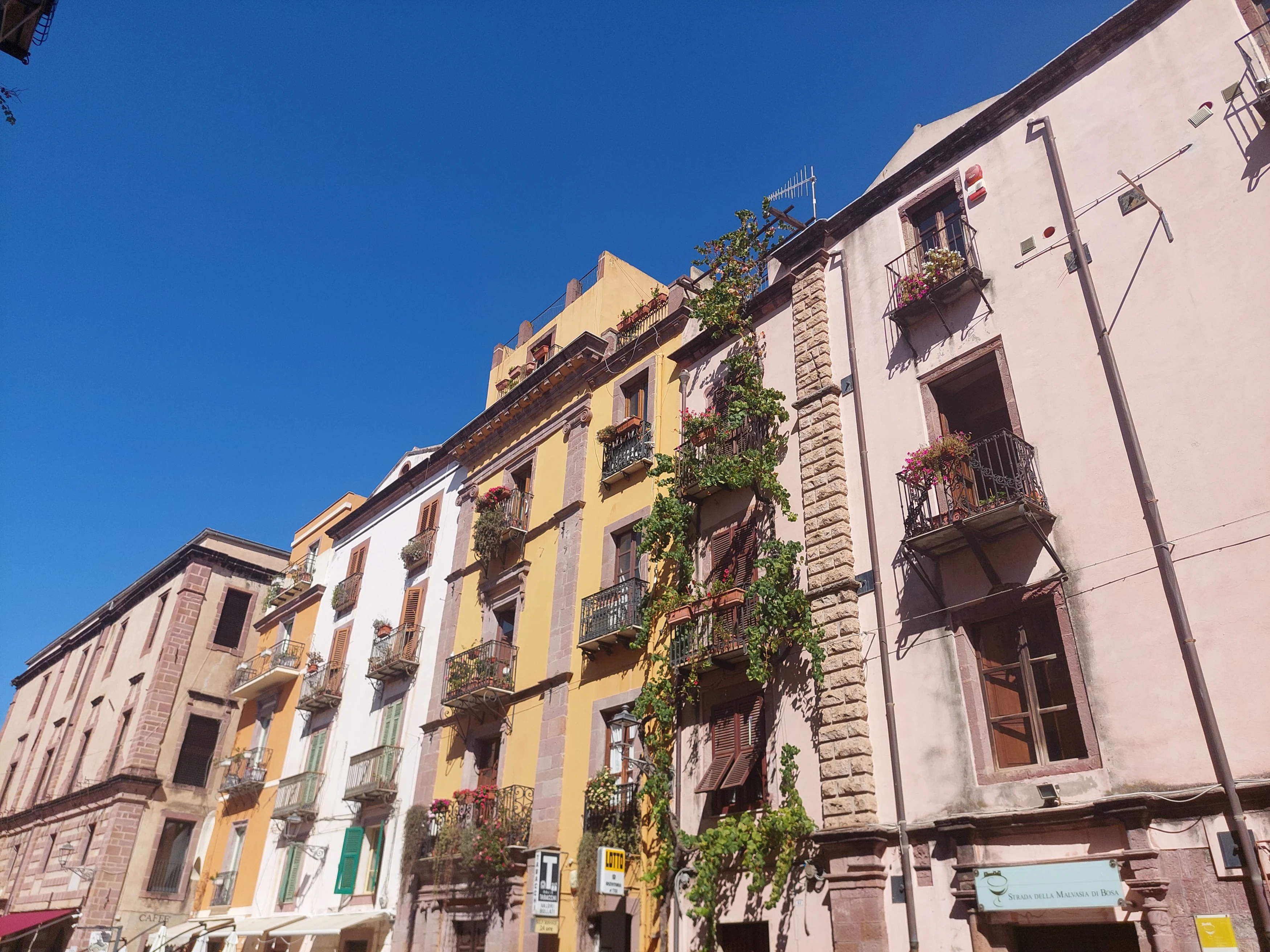 IT-studiereis-Bosa-stad (6).webp