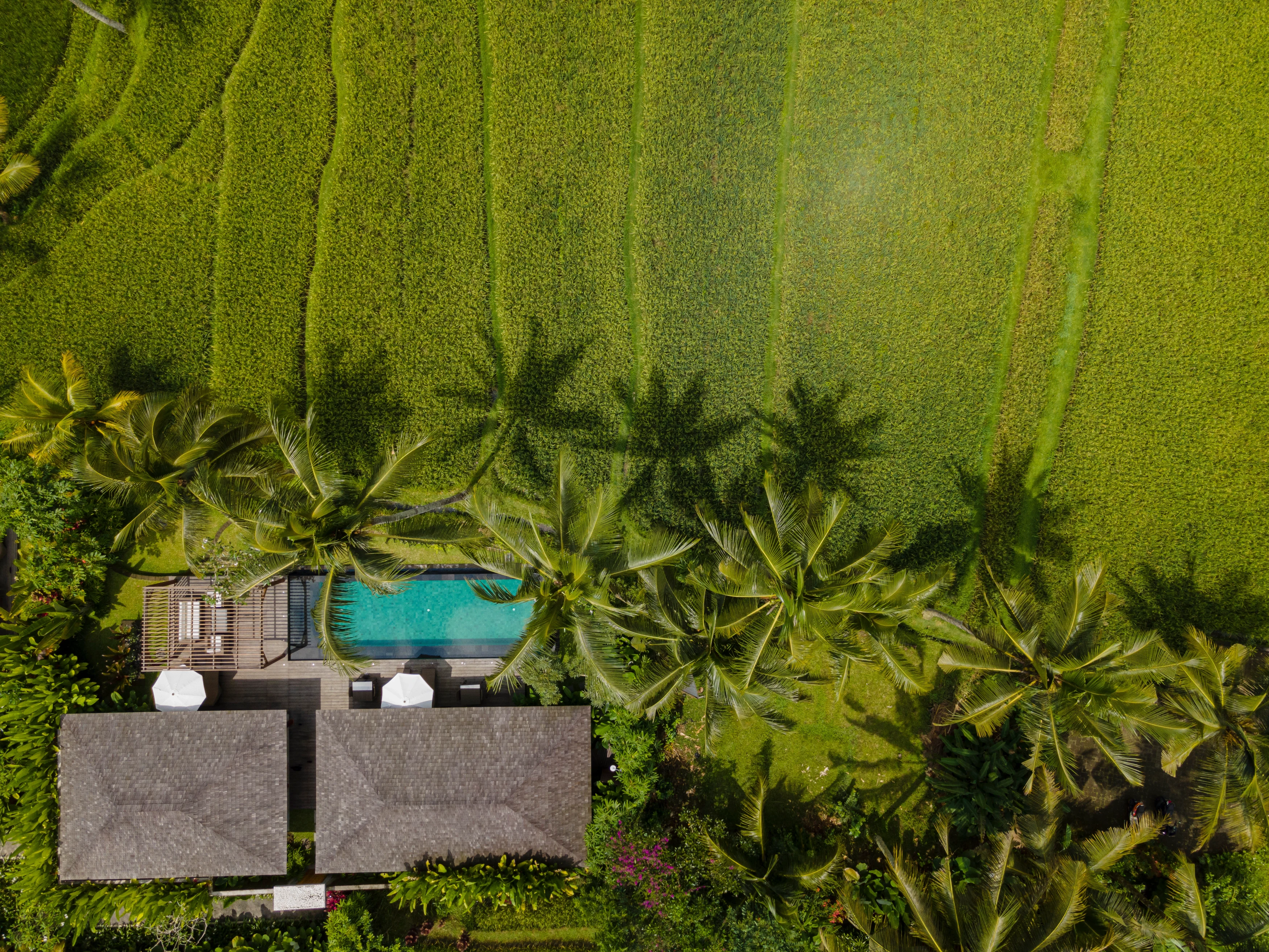 ID - Kappa Senses - Two Bedroom Pool Villa Drone(1).webp