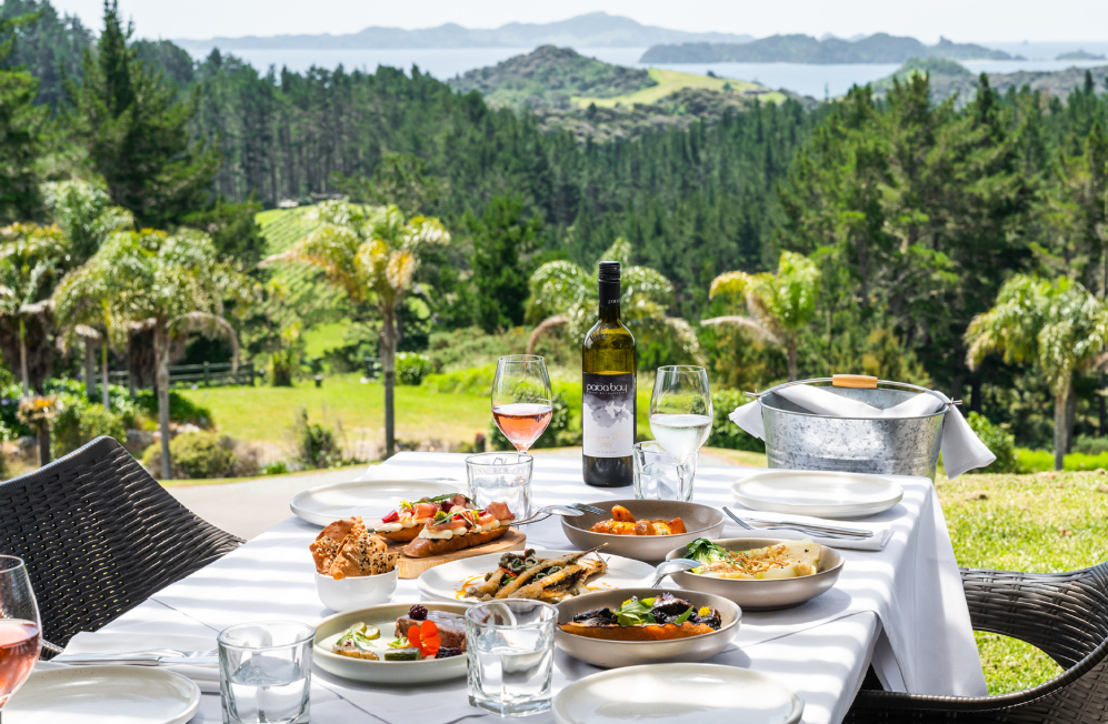 NZ - Eagles Nest - dinner view.png
