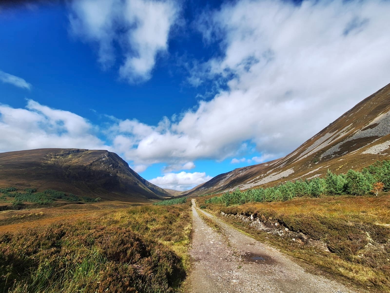GB Alladale Wilderness Reserve 11.jpg