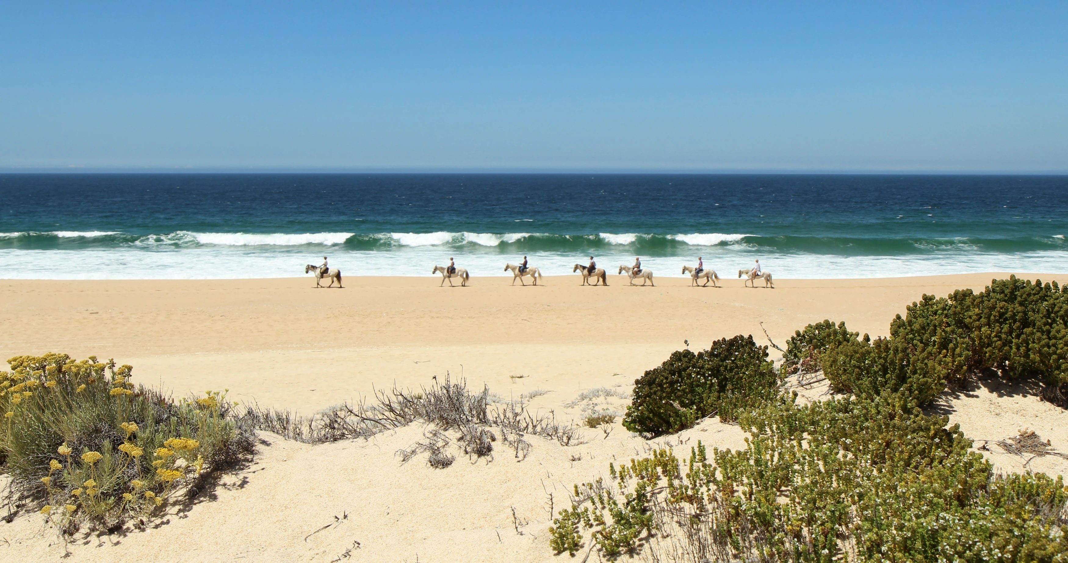 PT - Alentejo - Horseriding Comporta.webp