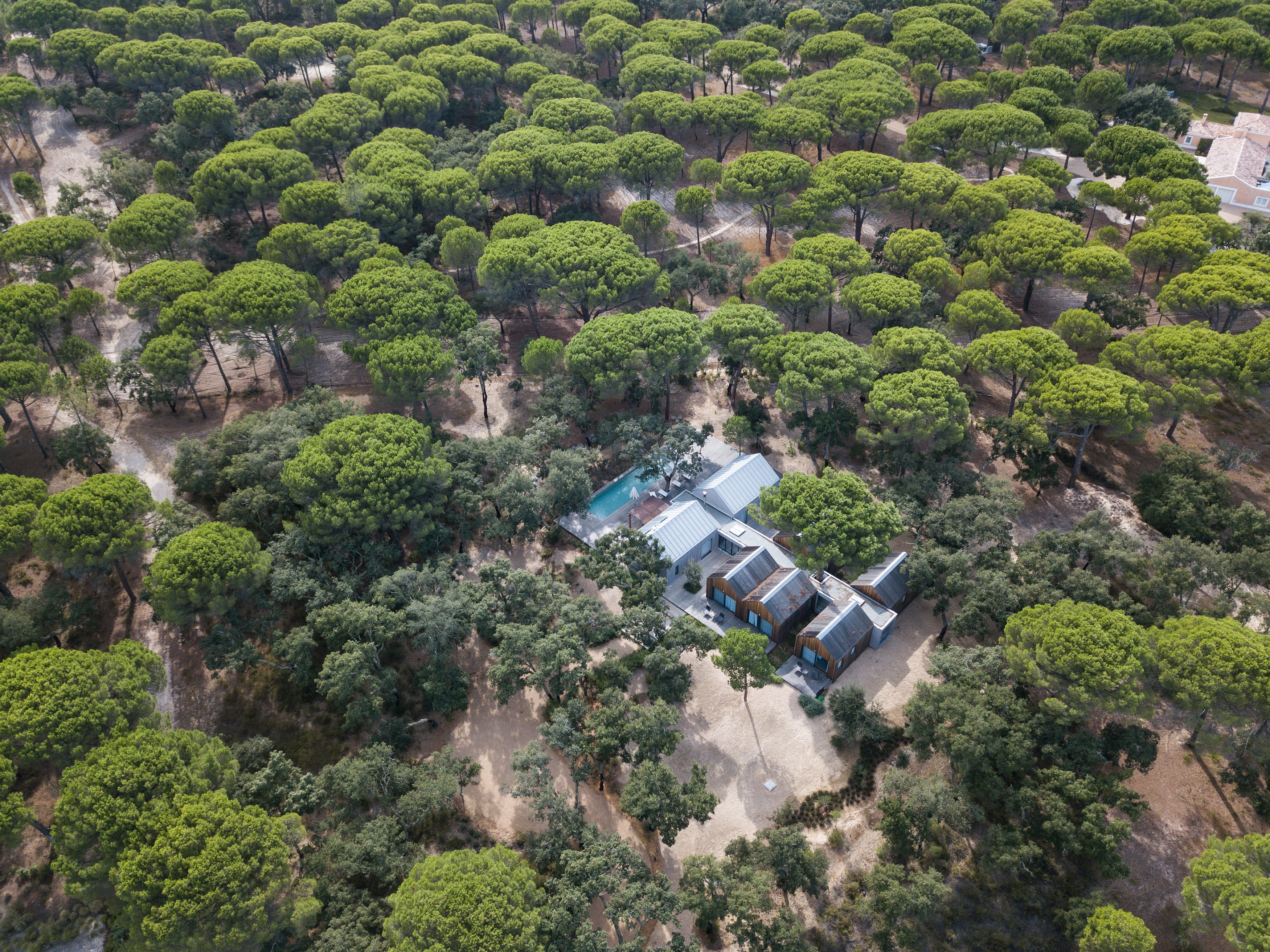 PT-SUBLIME_COMPORTA_AEREAS_020215_2266.jpg