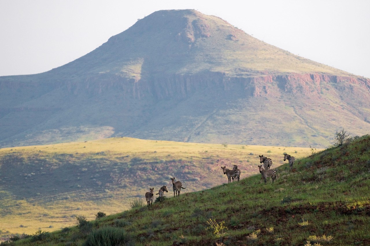 NA-Damaraland Camp-landscape with zebra.jpg