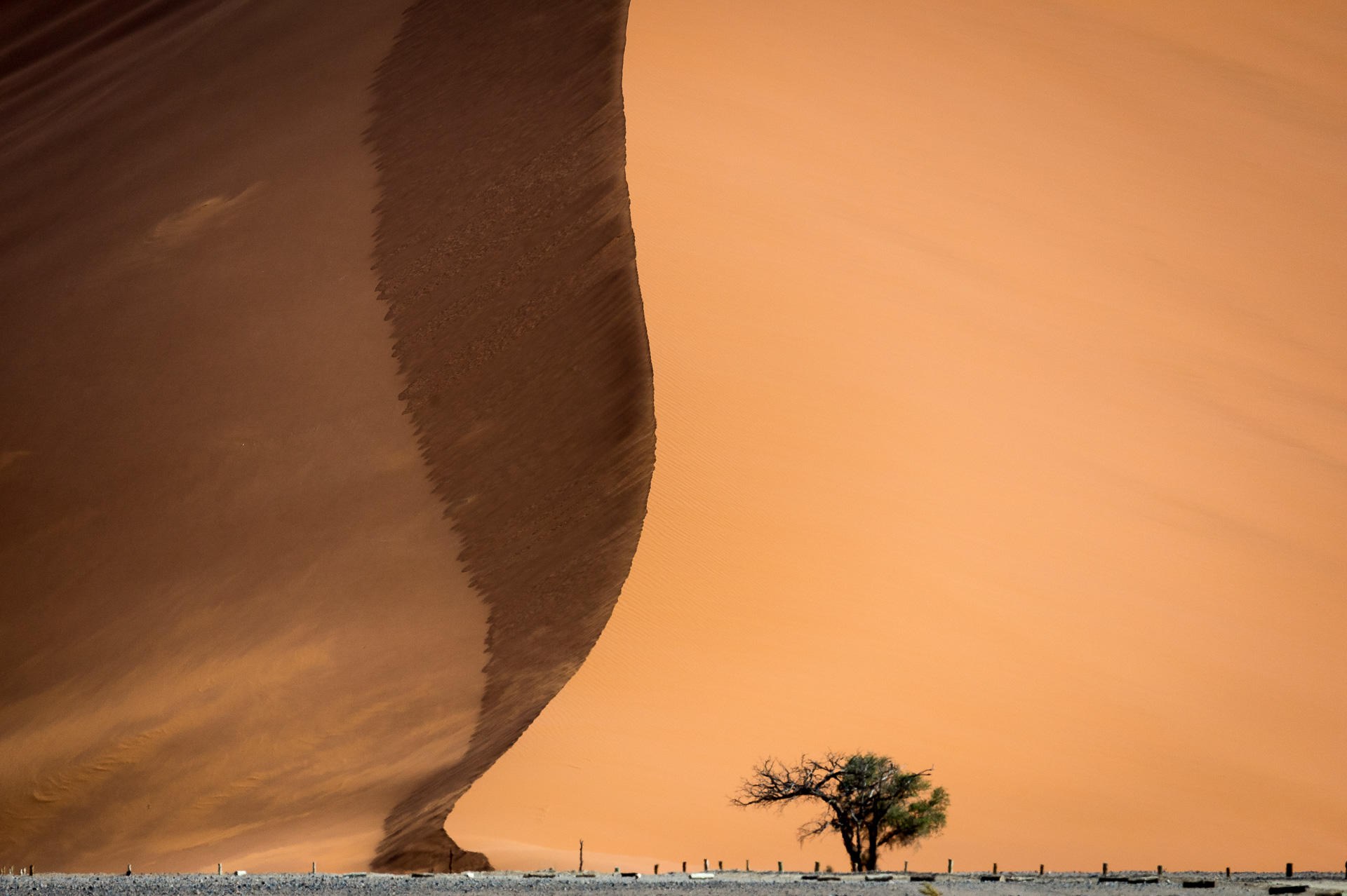 NA - Little Kulala Sossusvlei dune.jpg