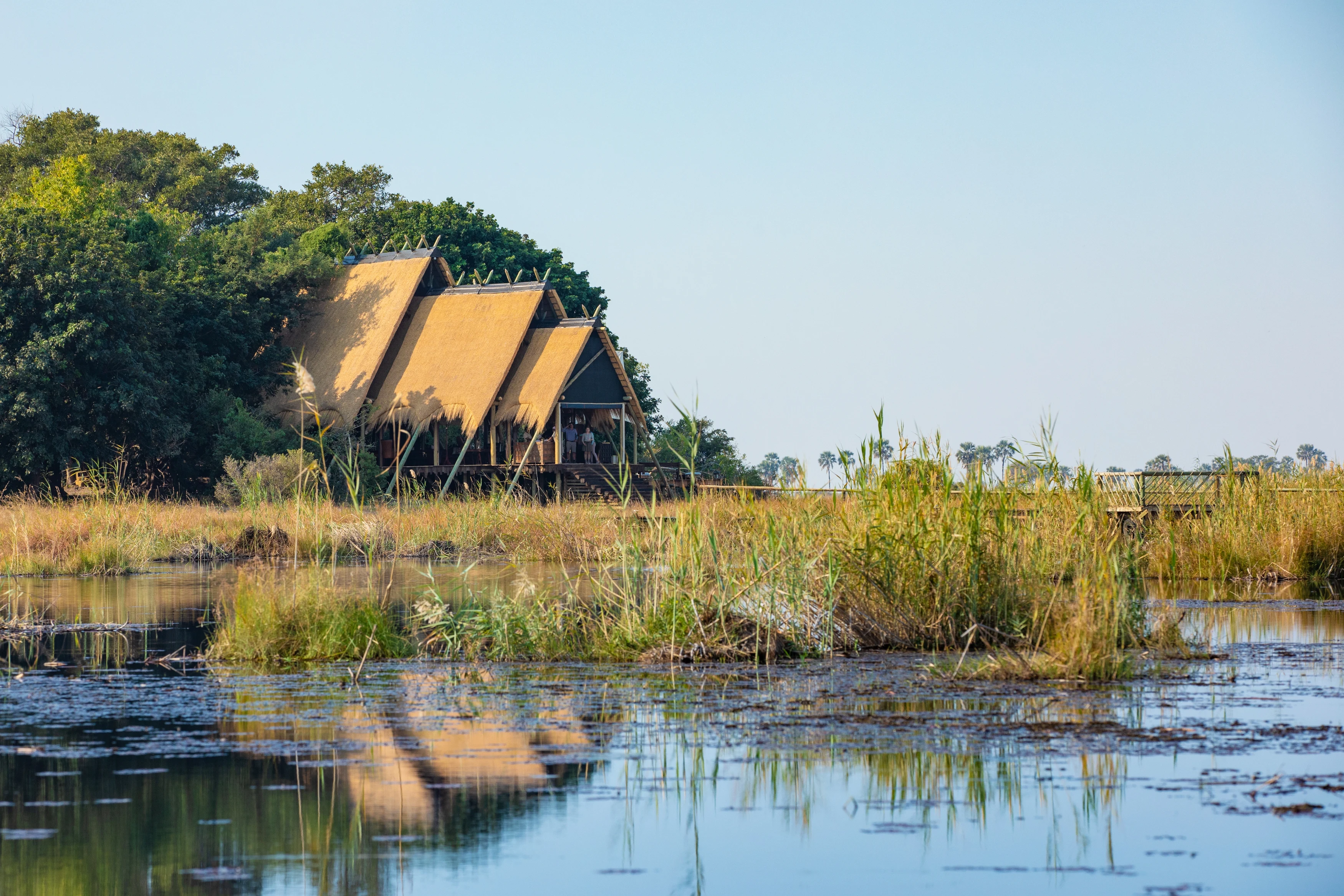 BW-Selinda Camp.webp