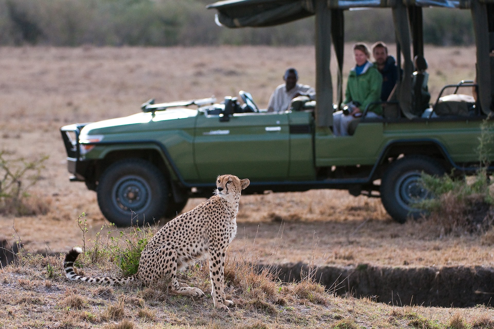 KE-Mara Plains Camp-game drive-2.jpg