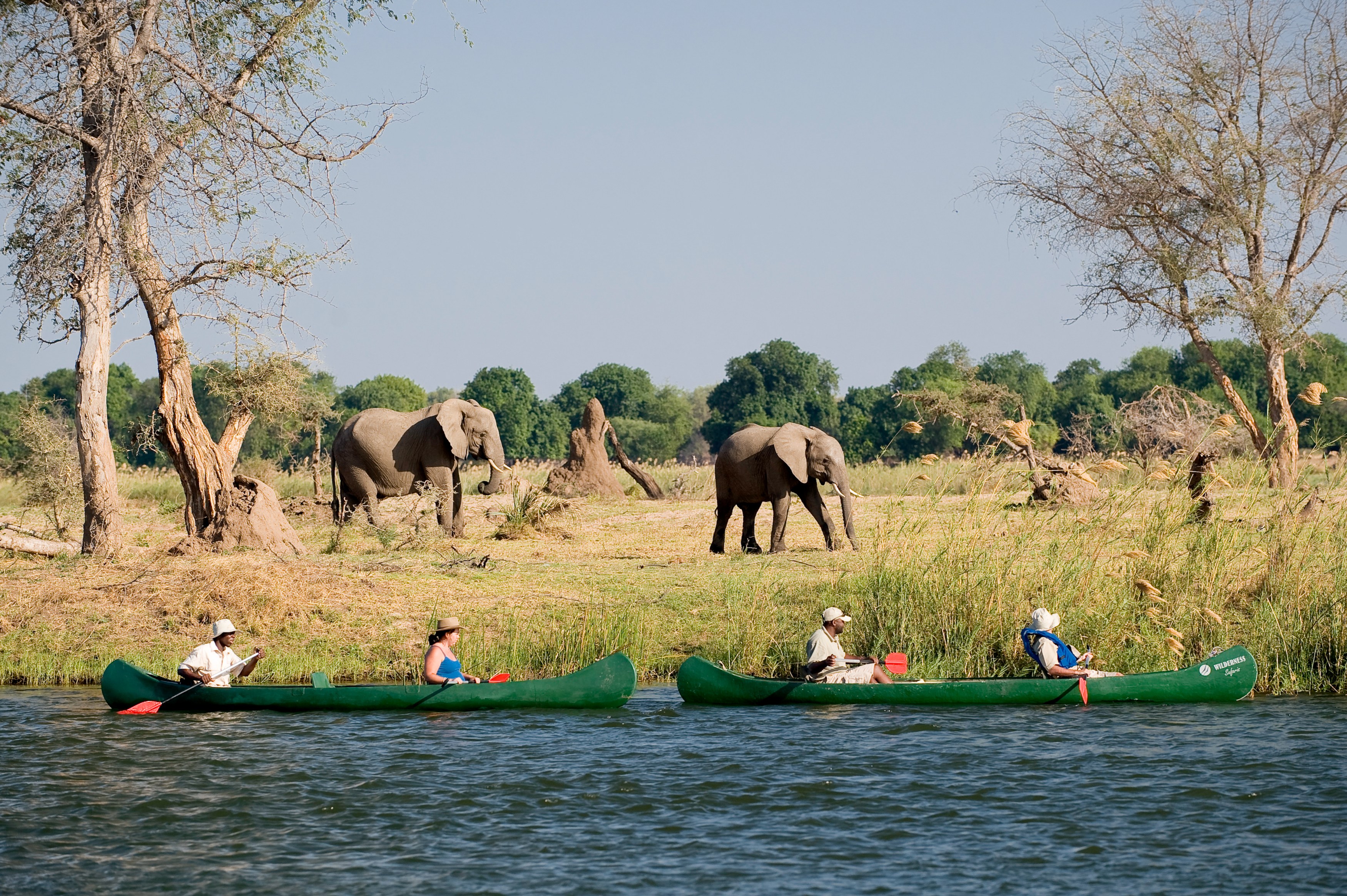 ZW - Mana Pools - Elepant and kano.jpg