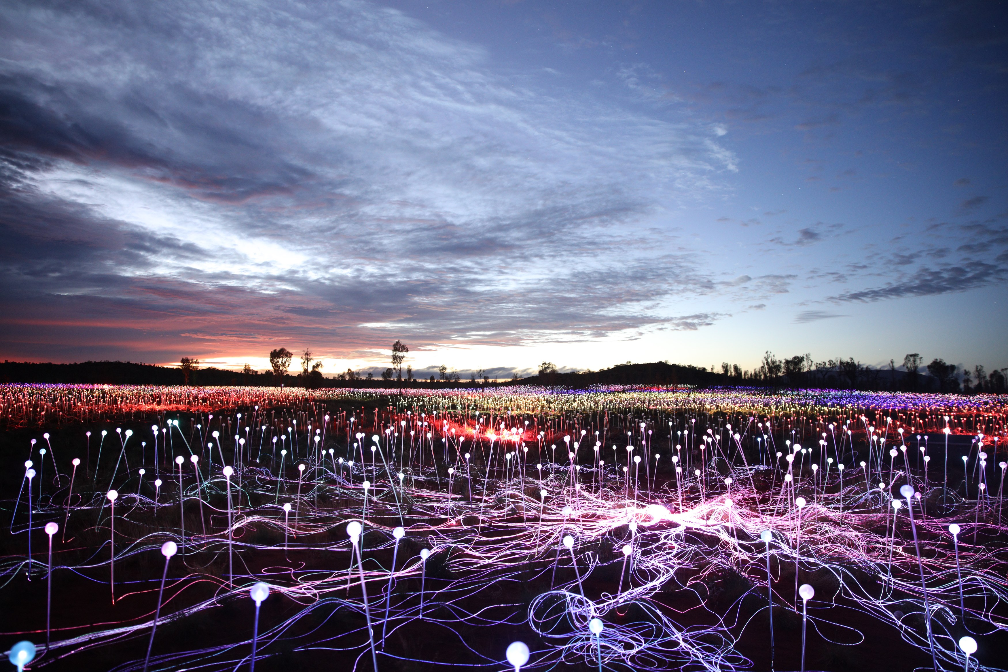 Au - Uluru - Field of Light (6).JPG